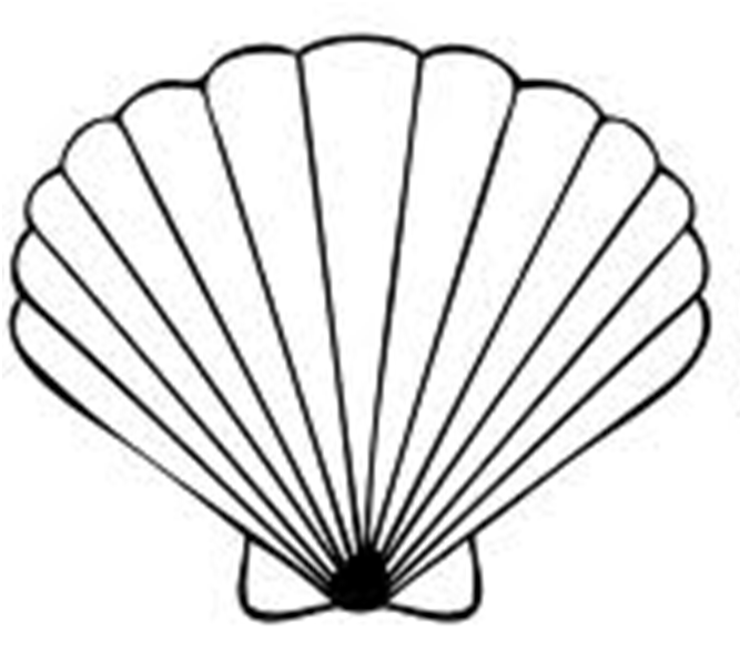 667x597 Clip Art Seashells
