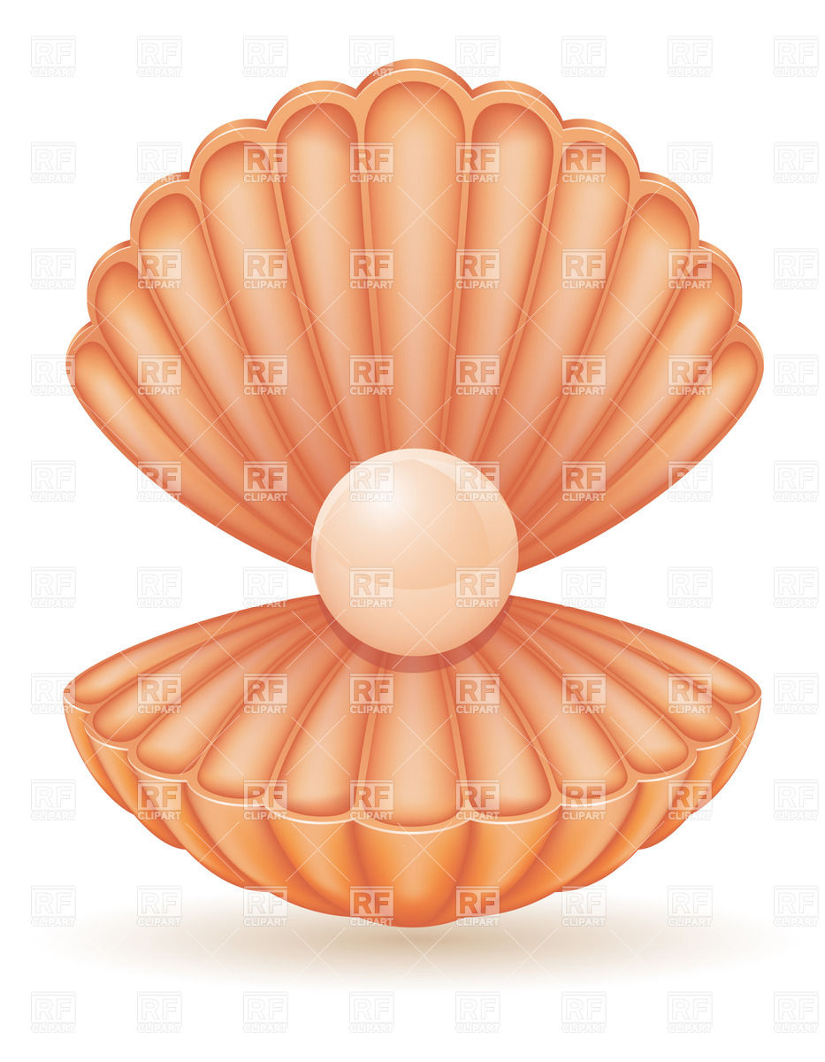 933x1200 Pearl Clipart Sea Shell