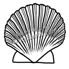 236x236 Pirate Ship Painted Seashell, Pirate Ship, Sailor Jerry, Tattoo