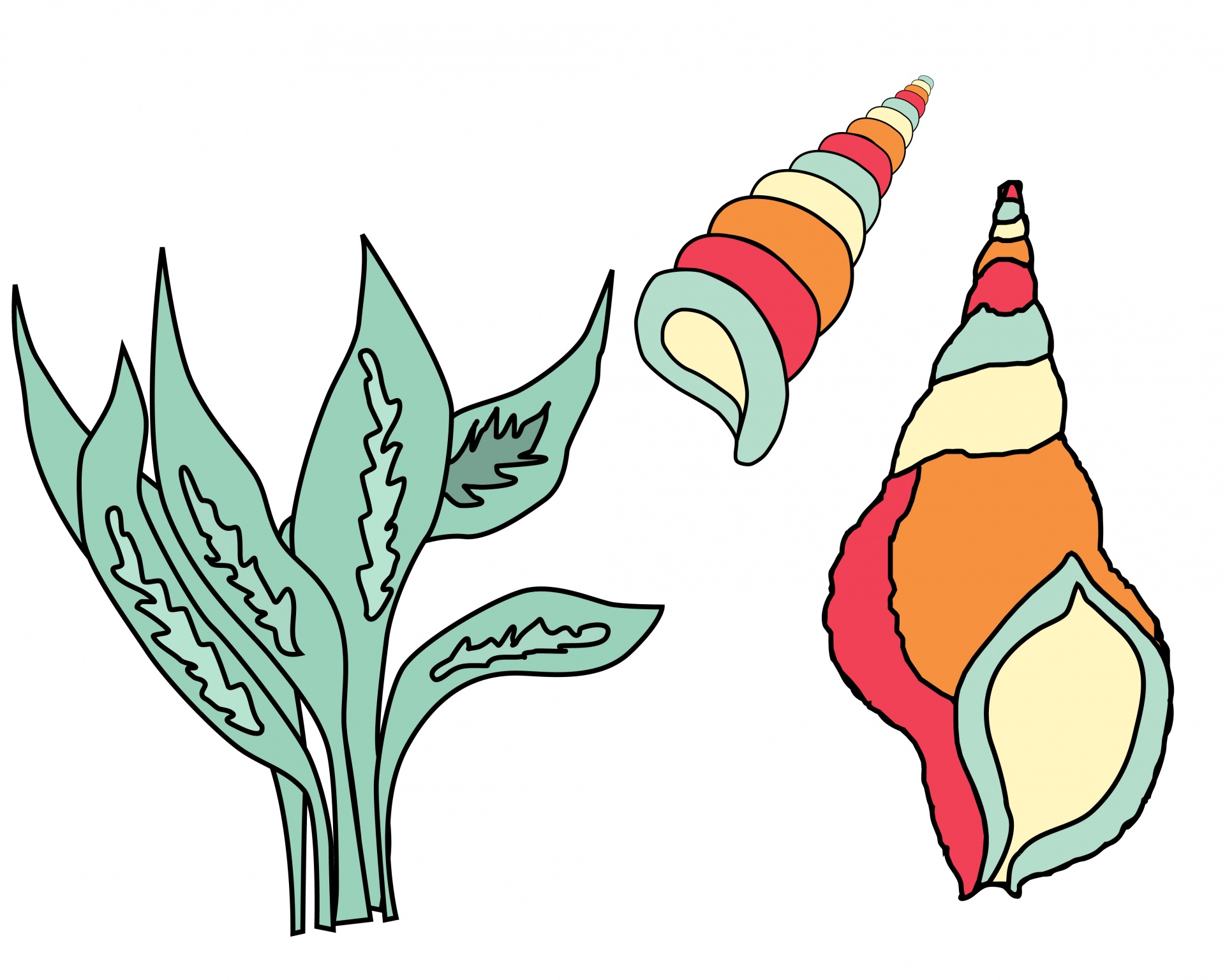 1920x1536 Seashells, Shells, Seaweed Free Stock Photo