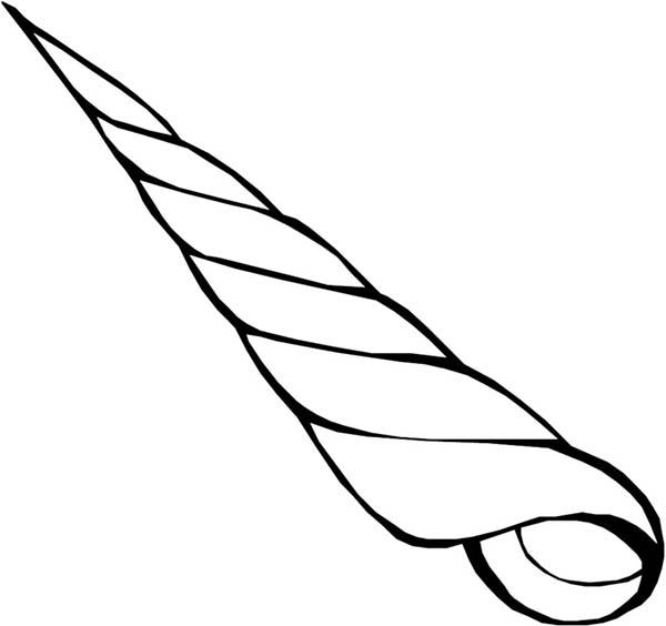 600x564 Shell Clipart Auger