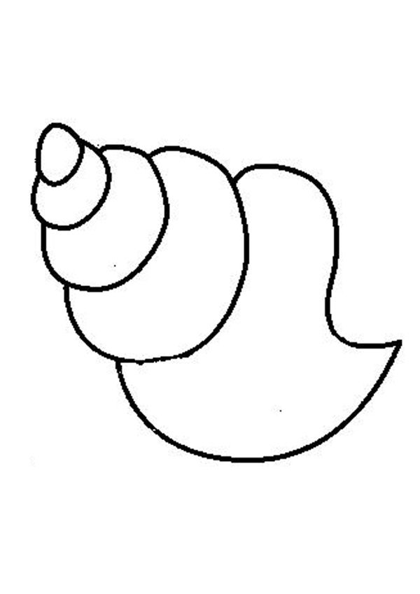 600x849 Sea Shell Coloring Page Free Printables Shell