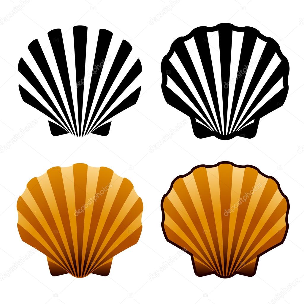 1024x1024 Sea Shells Stock Vector Happyroman