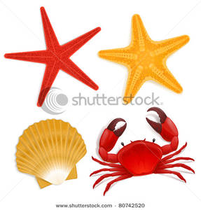 287x300 Picture Summer Sea Life Creatures, Star Fish, Shell, Red Crab