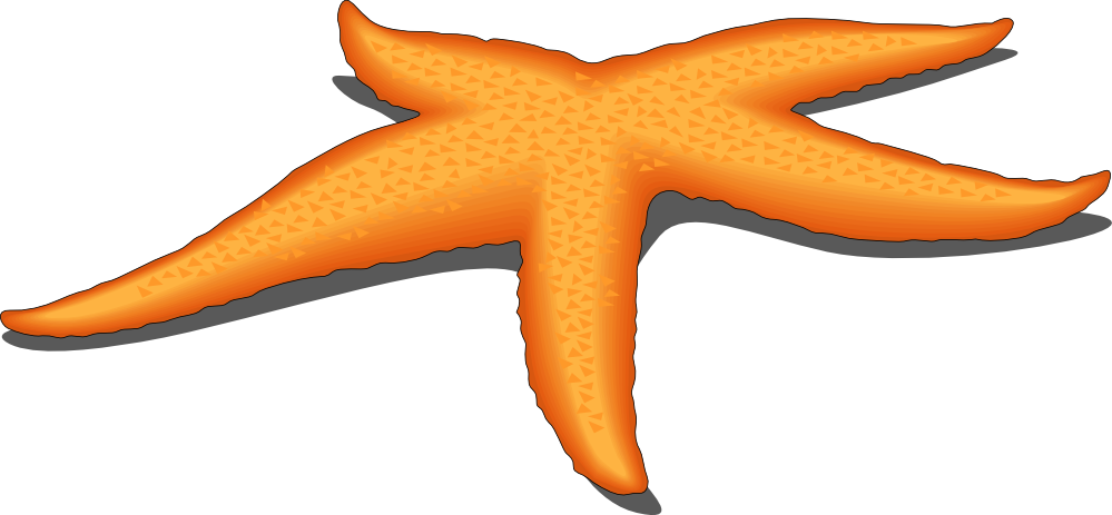 999x463 Top 77 Sea Star Clip Art