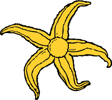 388x345 Sea Star Clip Art