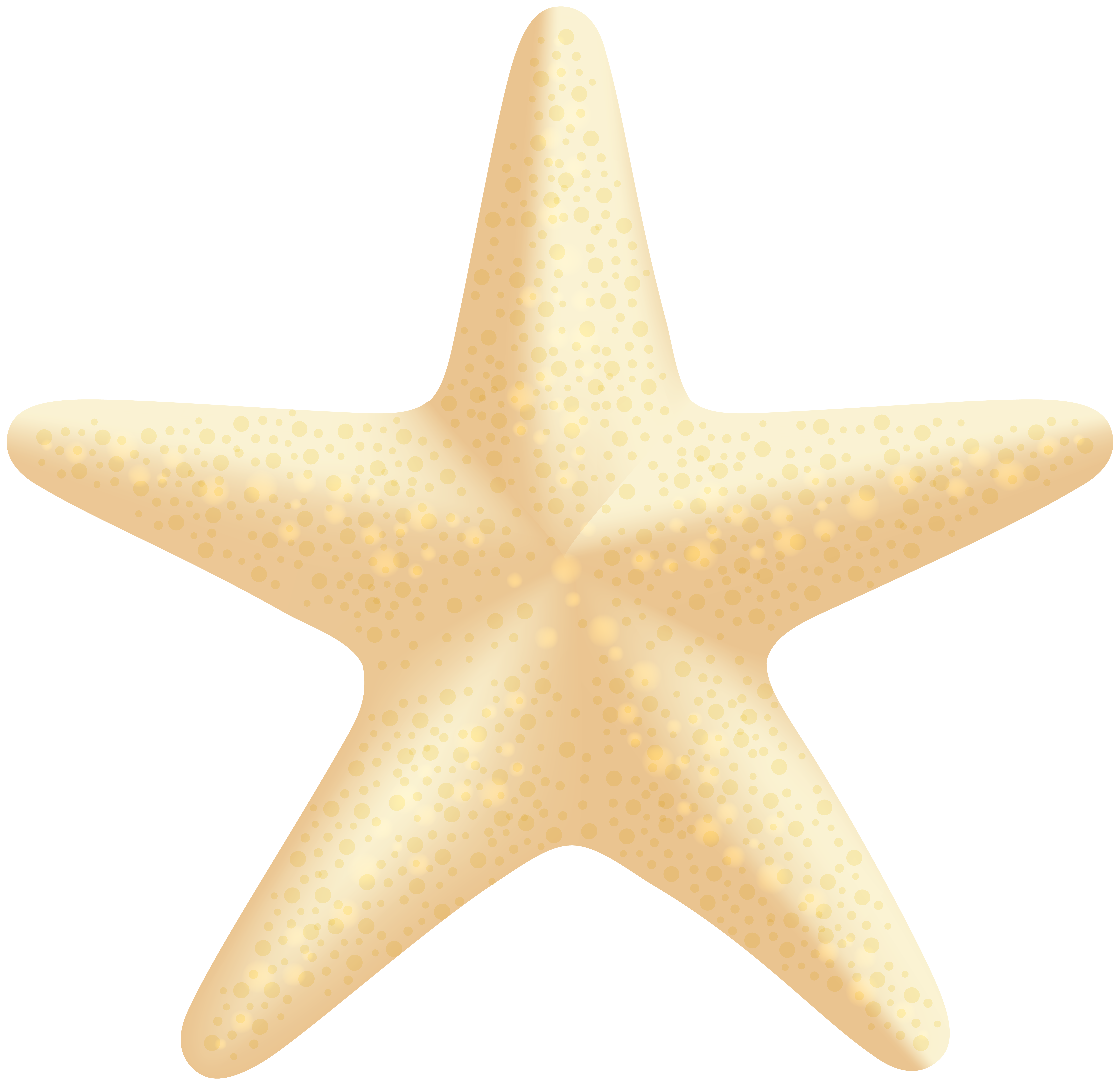 8000x7752 Sea Star Png Clip Art Imageu200b Gallery Yopriceville