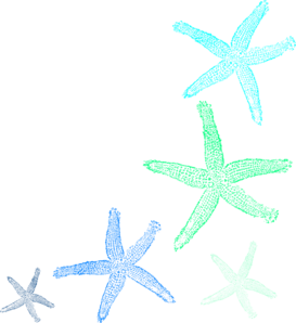 273x298 Starfish Clip Art Free