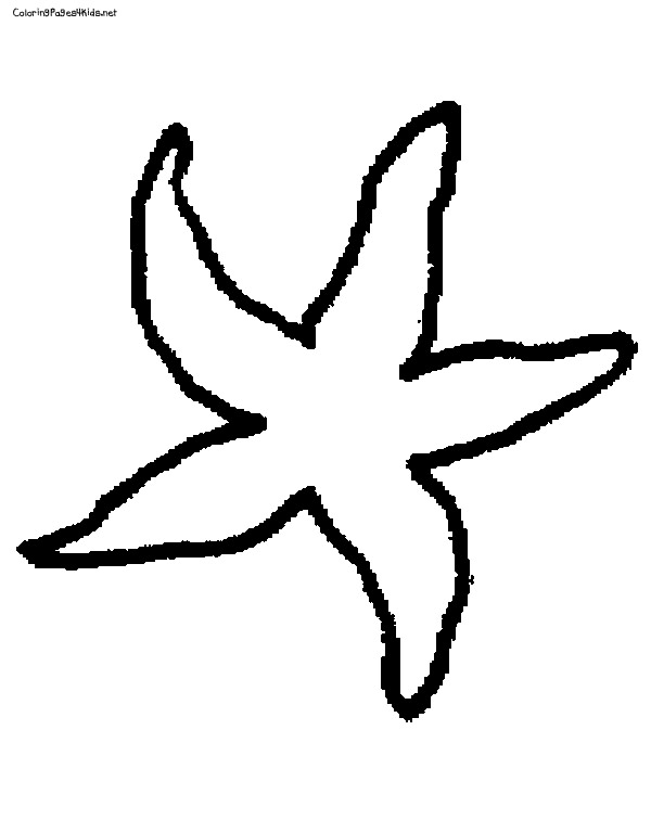 600x756 Starfish Outline
