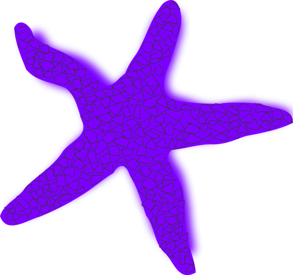 600x563 Starfish Orange Vector Clip Art Image