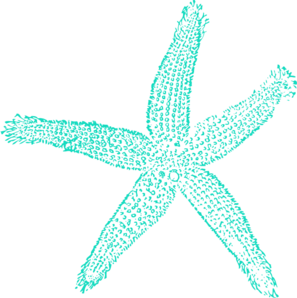 297x298 Turquoise Star Cliparts