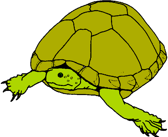 649x529 Hawaiian Sea Turtle Clipart Free Clipart Images 6