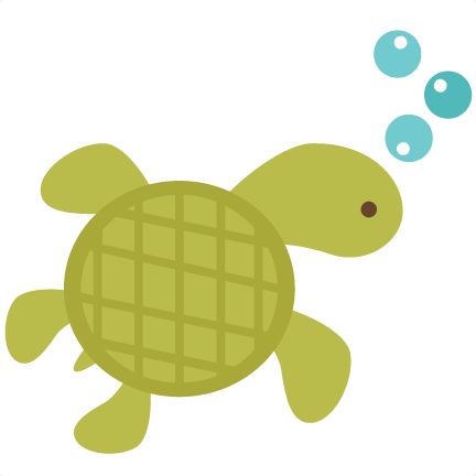 432x432 Mud Sea Turtle Clipart, Explore Pictures