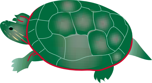 600x327 Painted Turtle Clip Art