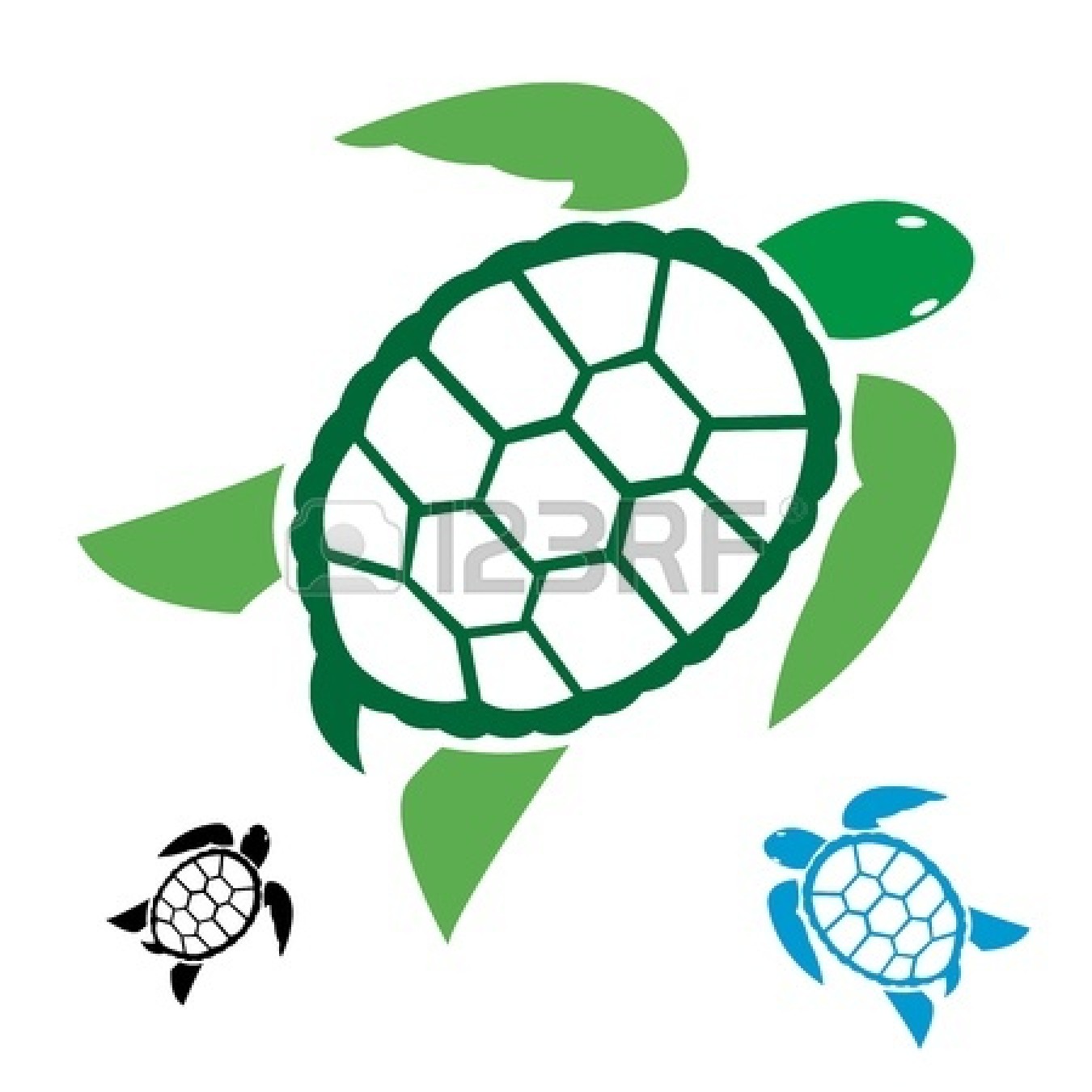 1350x1350 Sea Turtle Clipart Black And White Free