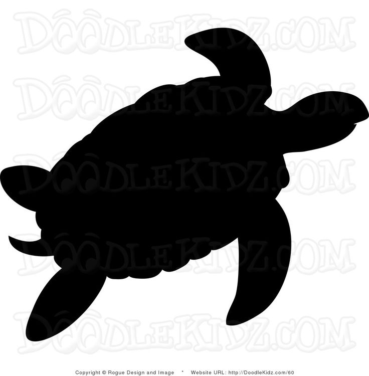 736x750 Turtle Clipart Sea Creature