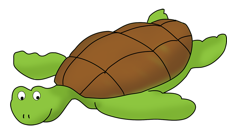 787x456 Sea Turtle Top Turtle Clip Art Free Clipart Image