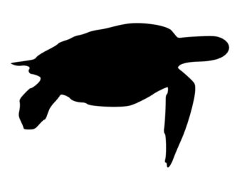 340x270 Sea Turtle Die Cut Decal Car Window Wall Bumper Phone Laptop