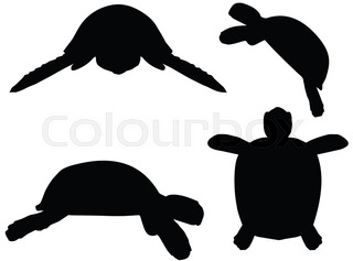 320x237 Turtle Silhouette On White Background Stock Vector Colourbox