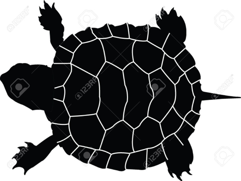 830x622 Best Turtle Silhouette