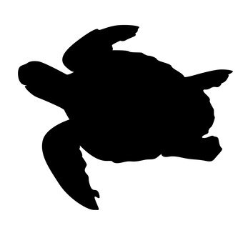 Sea Turtle Silhouette | Free download on ClipArtMag