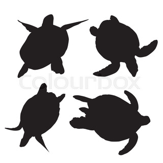 320x320 Illustration Of A Cartoon Turtle Stock Vector Colourbox