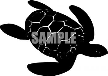 350x248 Royalty Free Turtle Clip Art, Reptile Clipart