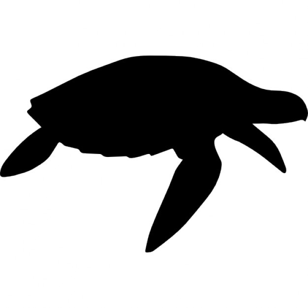 626x626 Turtle Silhouette Vectors, Photos And Psd Files Free Download