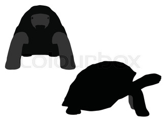 320x237 Turtle Silhouette On White Background Stock Vector Colourbox
