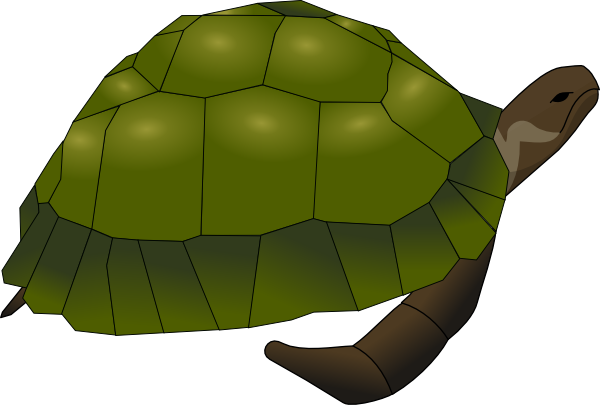 600x405 Turtle Clip Art