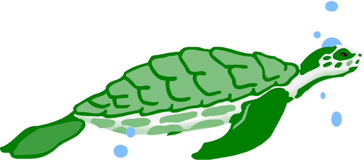 750x330 Water Sea Turtle Clipart, Explore Pictures