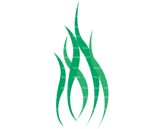 570x453 Reed Clipart Seaweed