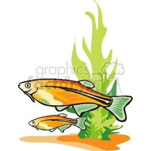 300x300 Royalty Free Small Fish Large Fish And Sea Weed 133656 Vector Clip
