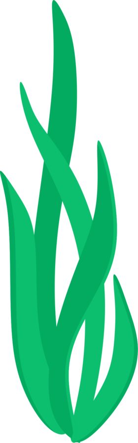 280x900 Sea Grass Clipart Seaweed