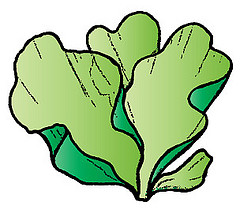 240x217 Algae Clipart Seaweed 2264684