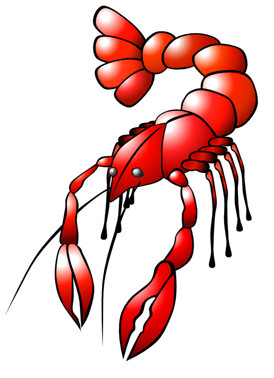 555x765 Free Crayfish Clip Art