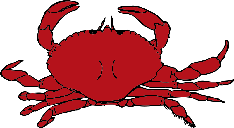800x438 Seafood Clipart Free Images 8