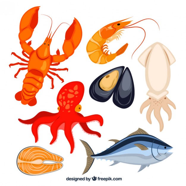 626x626 Seafood Vectors, Photos And Psd Files Free Download