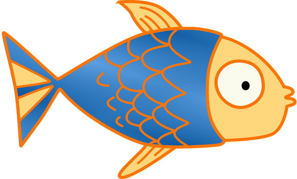 960x581 Seafood Clipart Transparent
