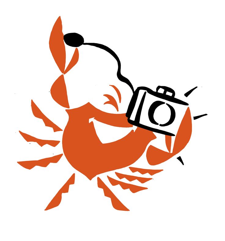 736x788 Seafood Pictures