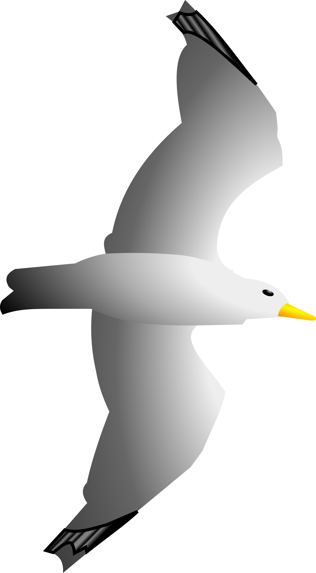 1323x2400 Sea Bird Clipart Seagull