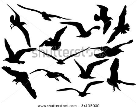 450x358 Sea Gull Seagull Clip Art Free Clipart Panda
