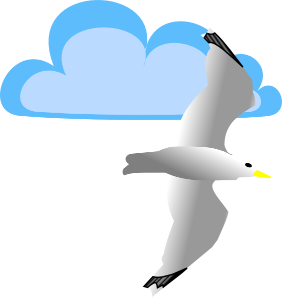 564x593 Seagull And Cloud Clip Art
