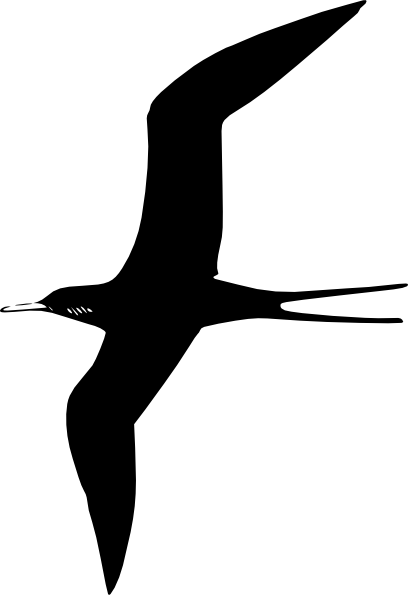 408x595 Seagull Clip Art Transparent Cliparts