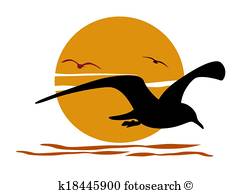 251x194 Seagull Clip Art And Illustration. 3,949 Seagull Clipart Vector