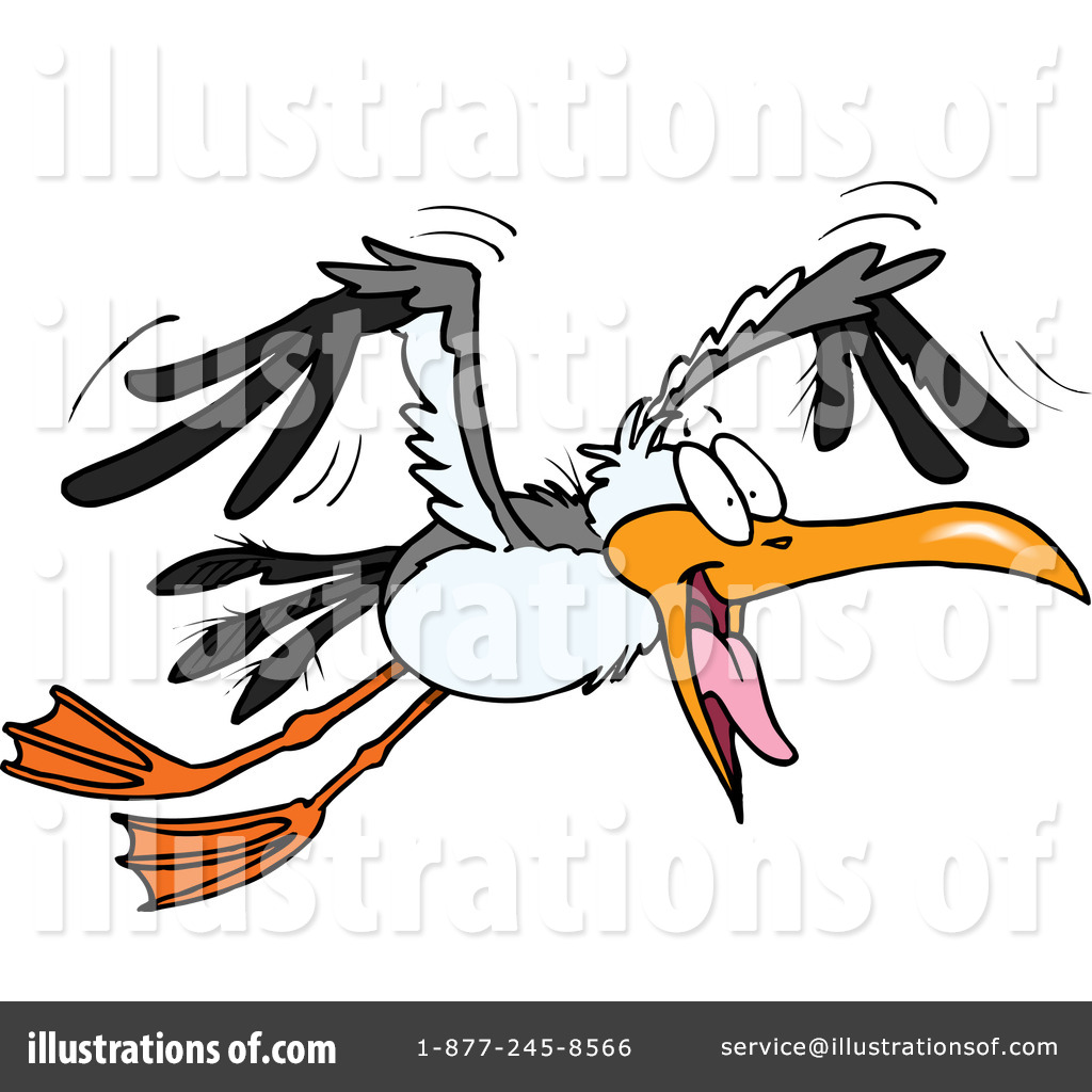 1024x1024 Seagull Clipart