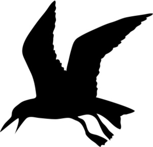 300x288 Seagull Clipart Image