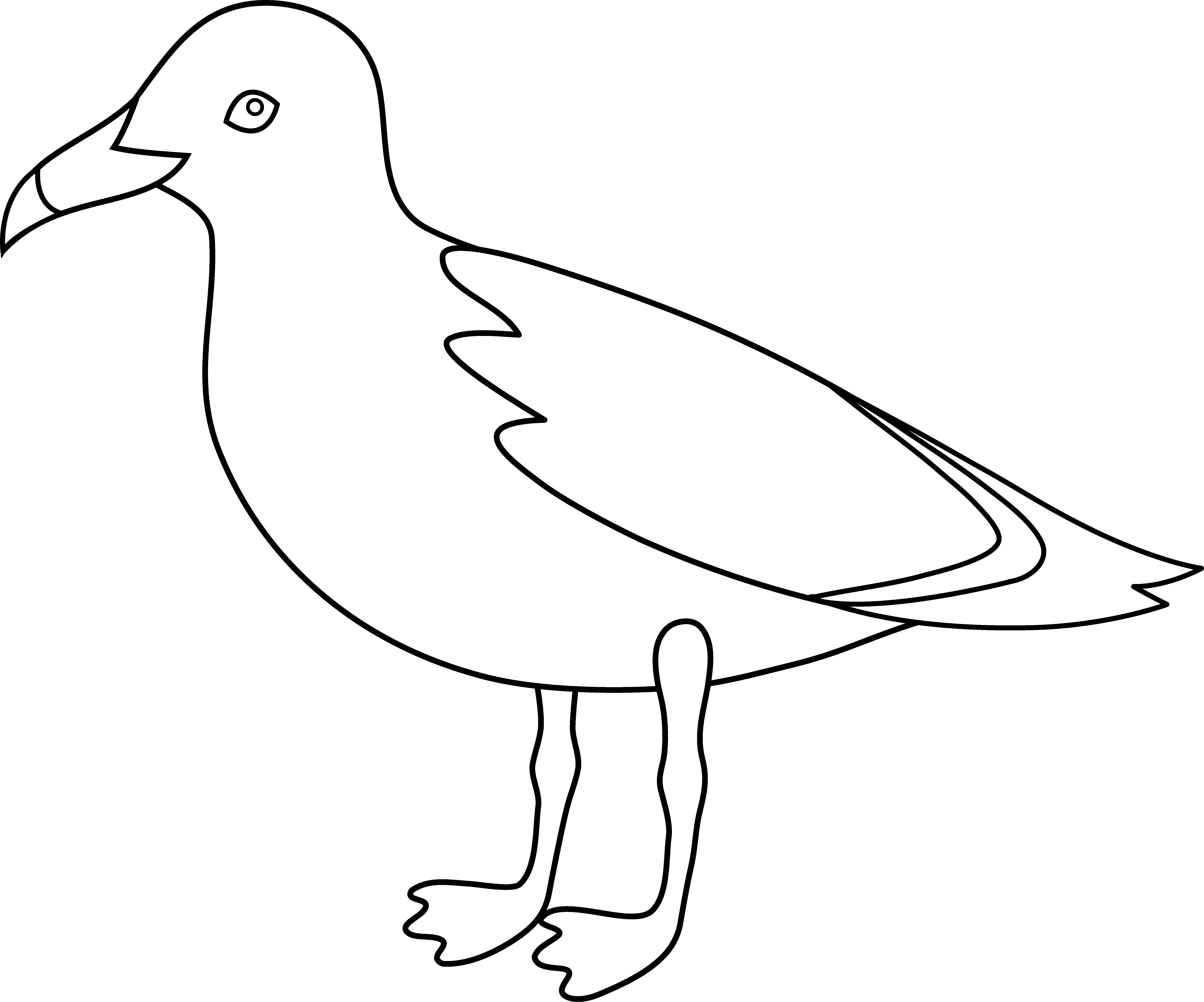 6952x5789 Seagull Line Art