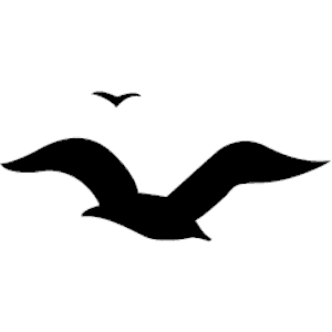 300x300 Seagull Clipart Clipart