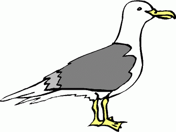 362x271 Seagull Clipart Free Images 5